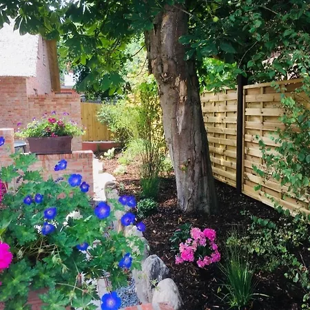 Ferienhaus Haus Boldix Whg 5 Martinique Boldixum